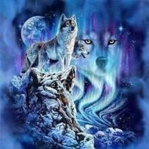 Meet your Posher, Dani